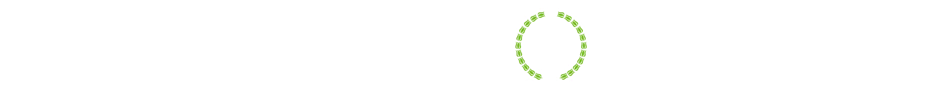 WEB-INC-002