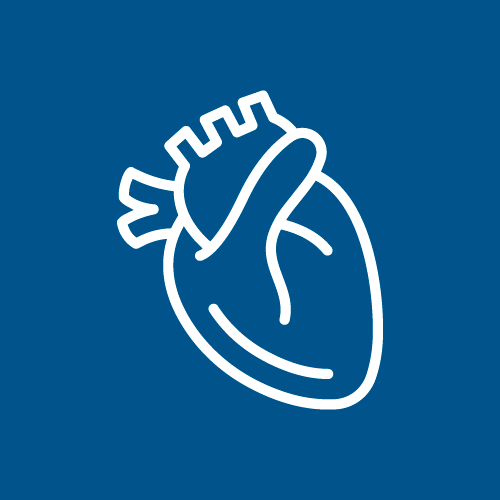 WEB-INC-050
